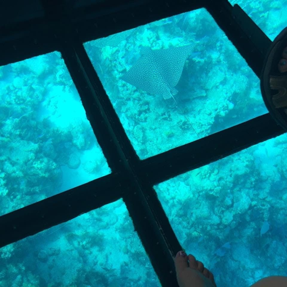 Glasbodenboot aus Hurghada