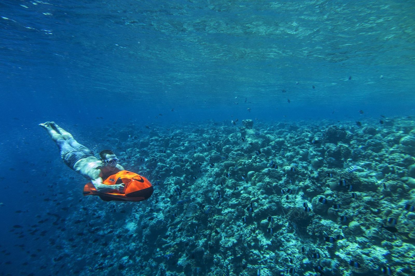 Sharm El Naga Snorkeling Trip – photo 4