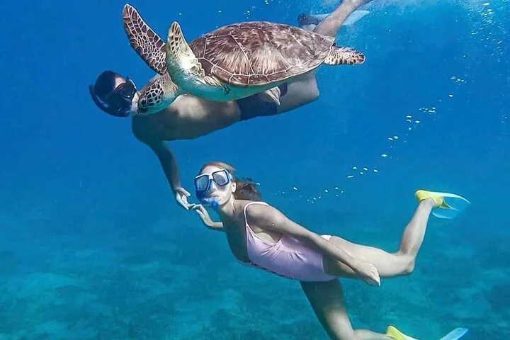 Abu Dabbab Bay – Snorkeling with Turtles & Dugong – photo 3