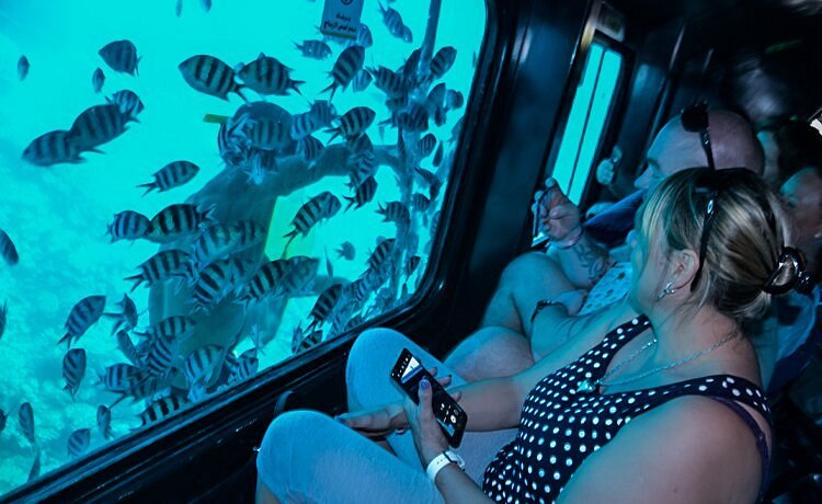 Glass-Bottom Boat & Hurghada City Tour – photo 5