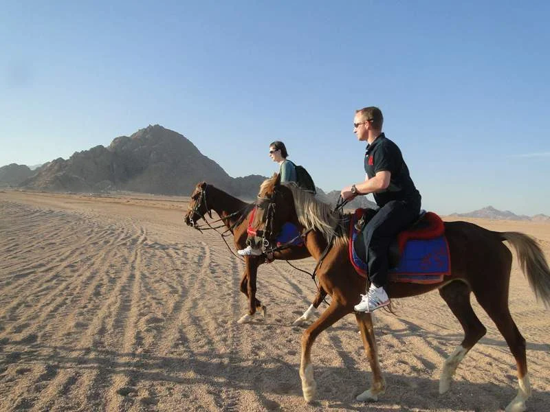 Reiten zwischen Wüste und Meer – Foto 5