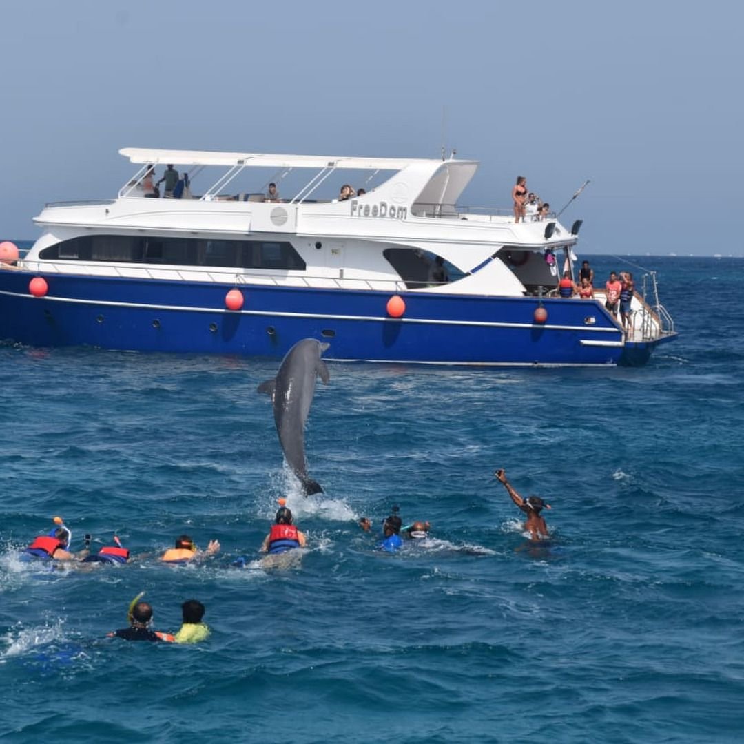 Privater Schnorchelausflug mit dem Boot in Hurghada – Foto 5