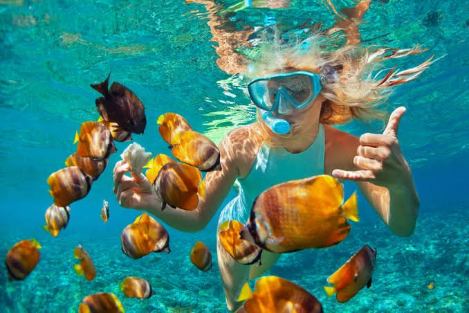 Schnorchelausflug zur Insel Hula Hula – Foto 2