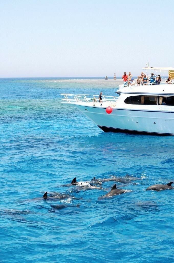 Privater Schnorchelausflug mit dem Boot in Hurghada – Foto 4