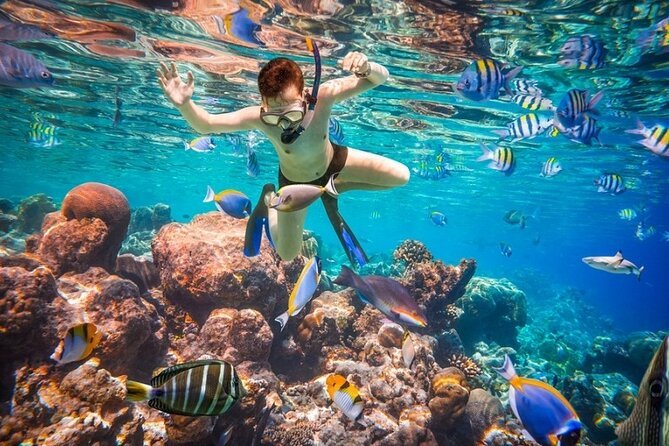 Schnorchelausflug zur Insel Hula Hula – Foto 5