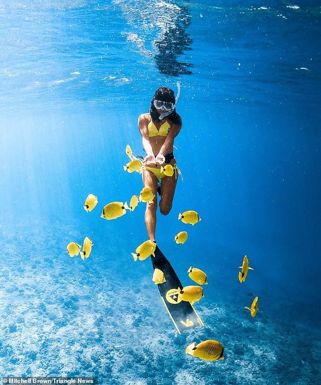 Privater Schnorchelausflug mit dem Boot in Hurghada – Foto 6